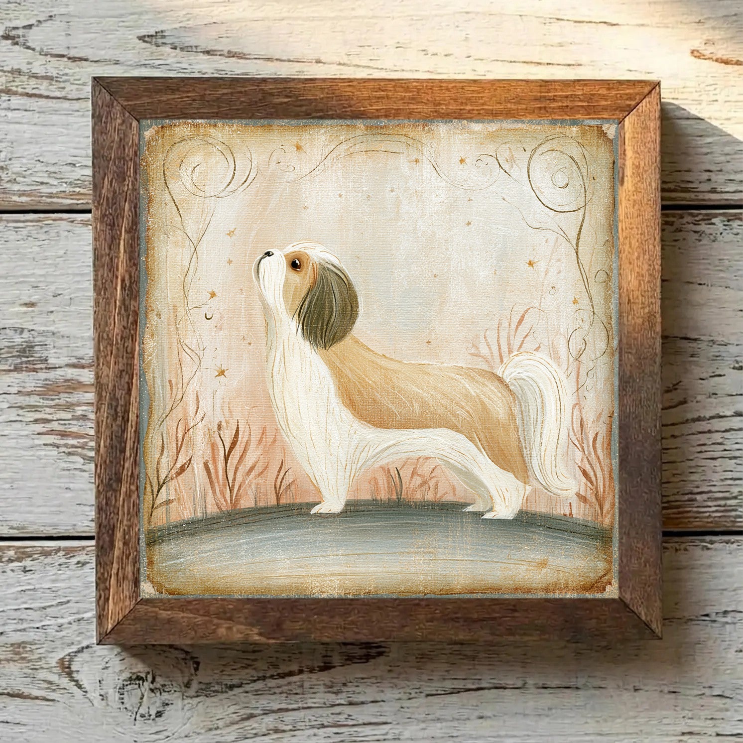 Shih Tzu Gold & White - Variation 3