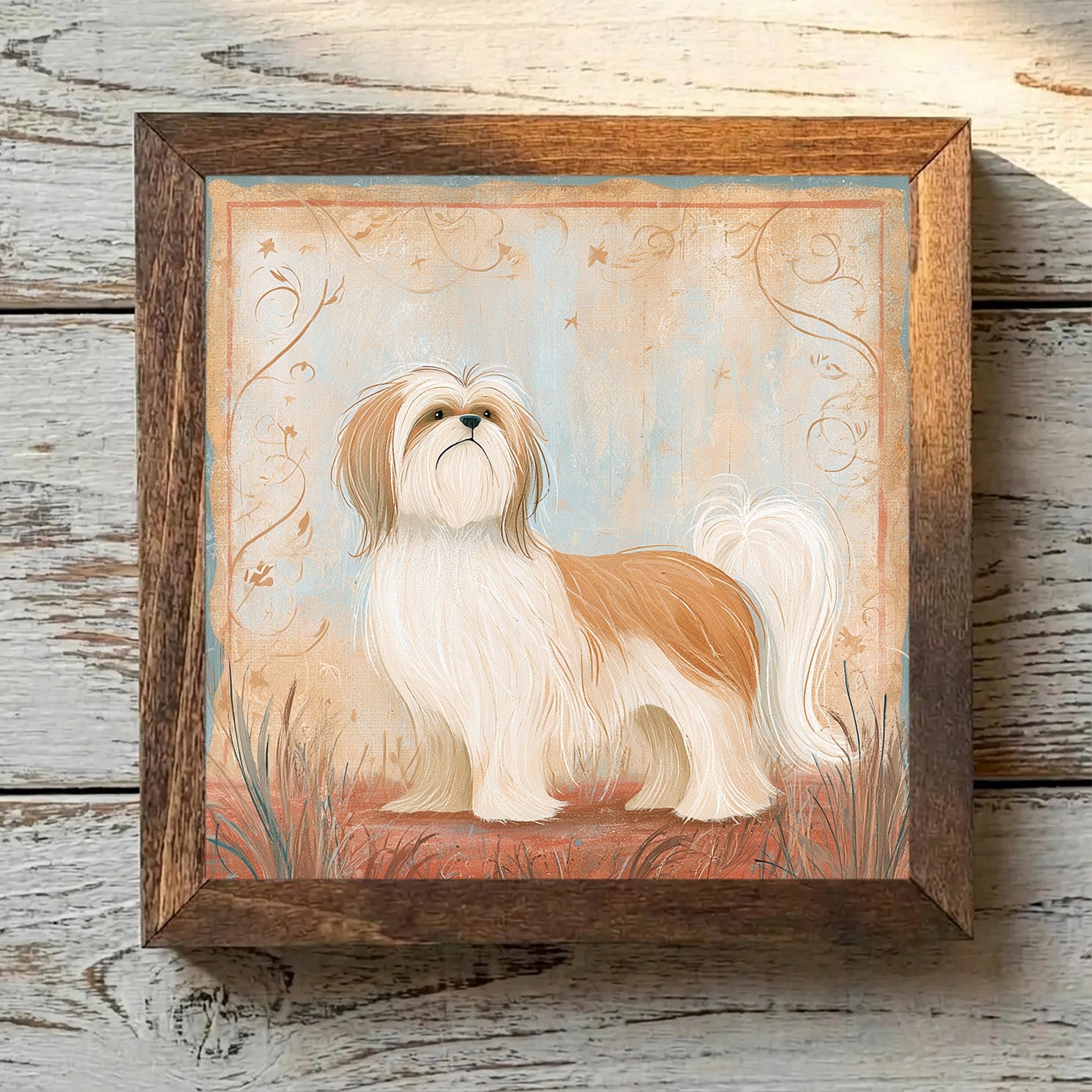 Shih Tzu Gold & White - Variation 4