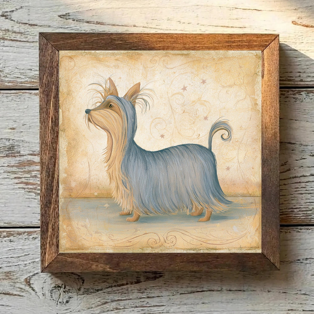 Silky Terrier Gray Blue & Tan - Variation 3