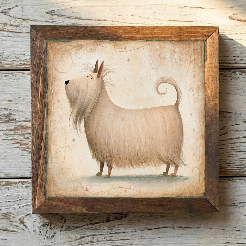 Skye Terrier Fawn - Variation 3