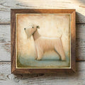 Soft Coated Wheaten Terrier Wheaten - Variation 1
