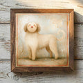 Spanish Water Dog Beige - Variation 1