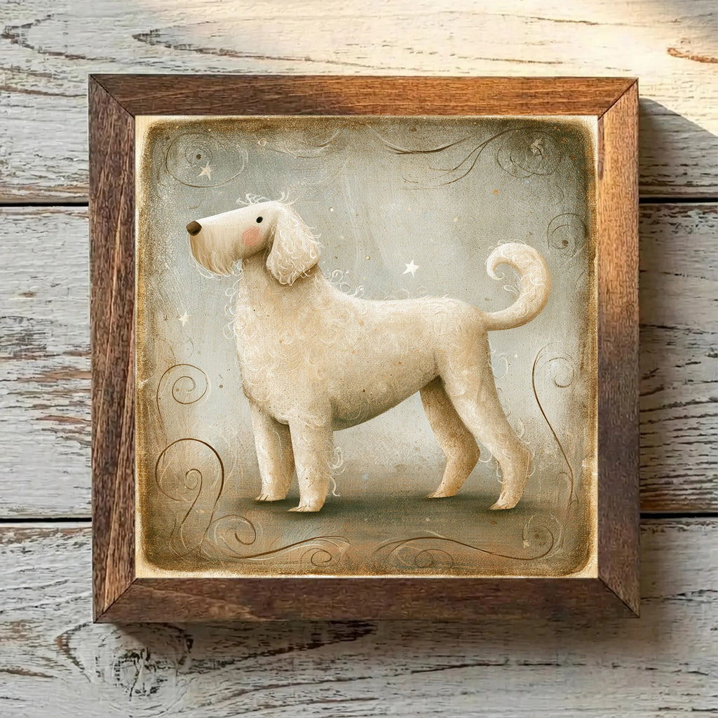 Spanish Water Dog Beige - Variation 2