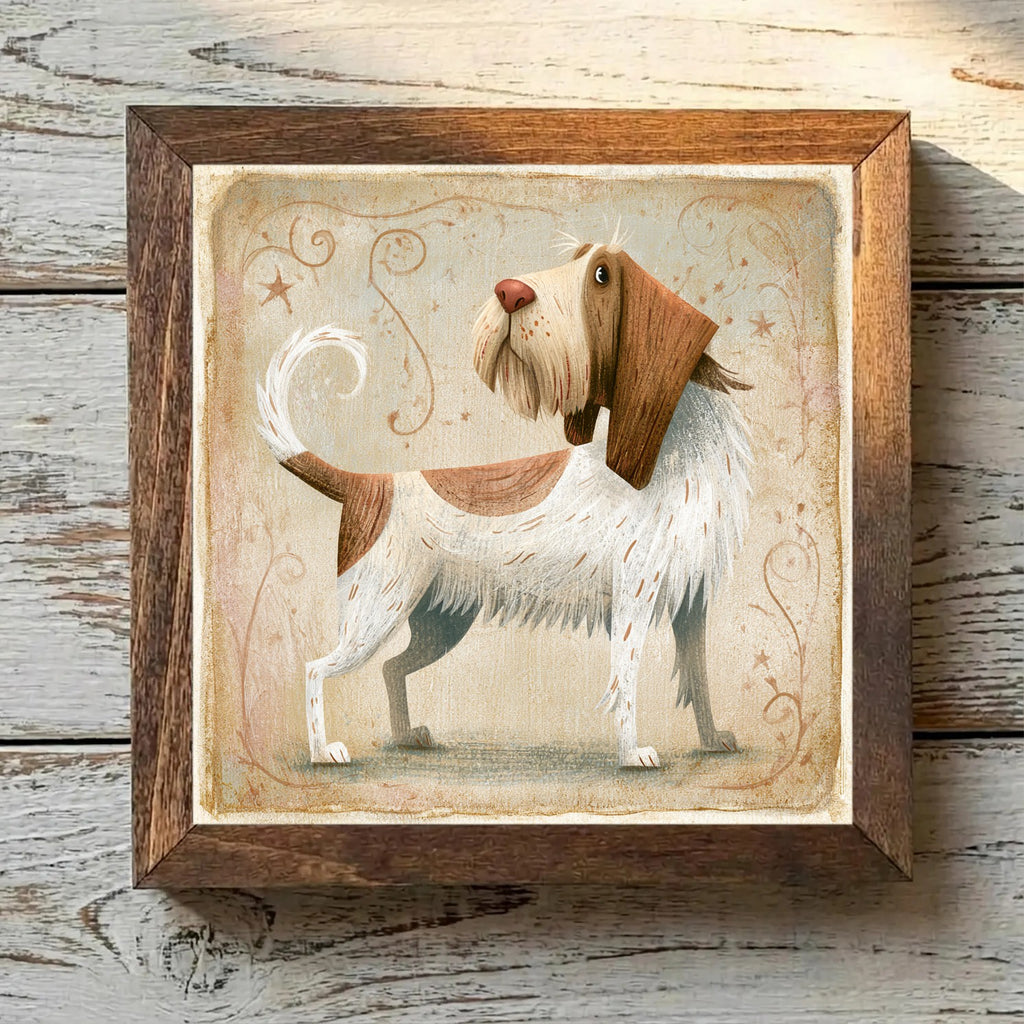 Spinone Italiano White & Brown - Variation 3