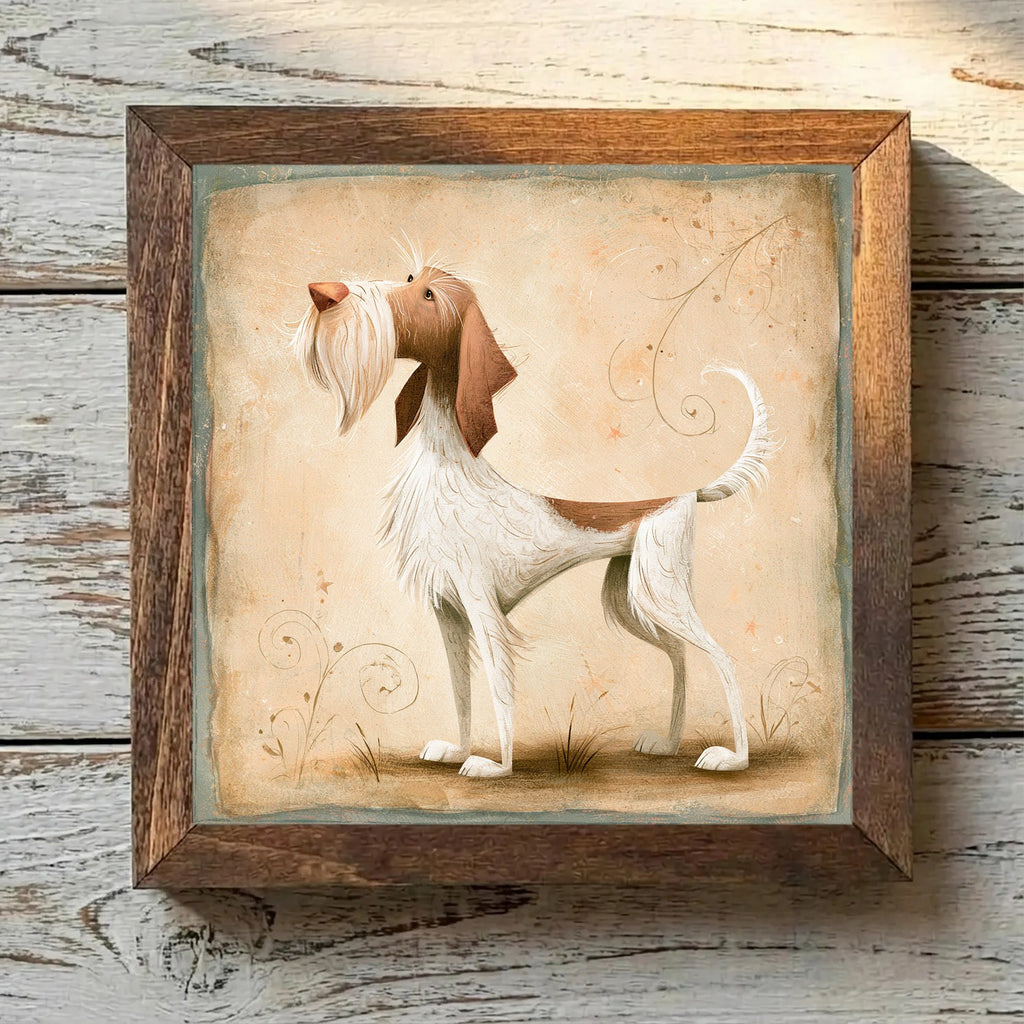 Spinone Italiano White & Brown - Variation 4