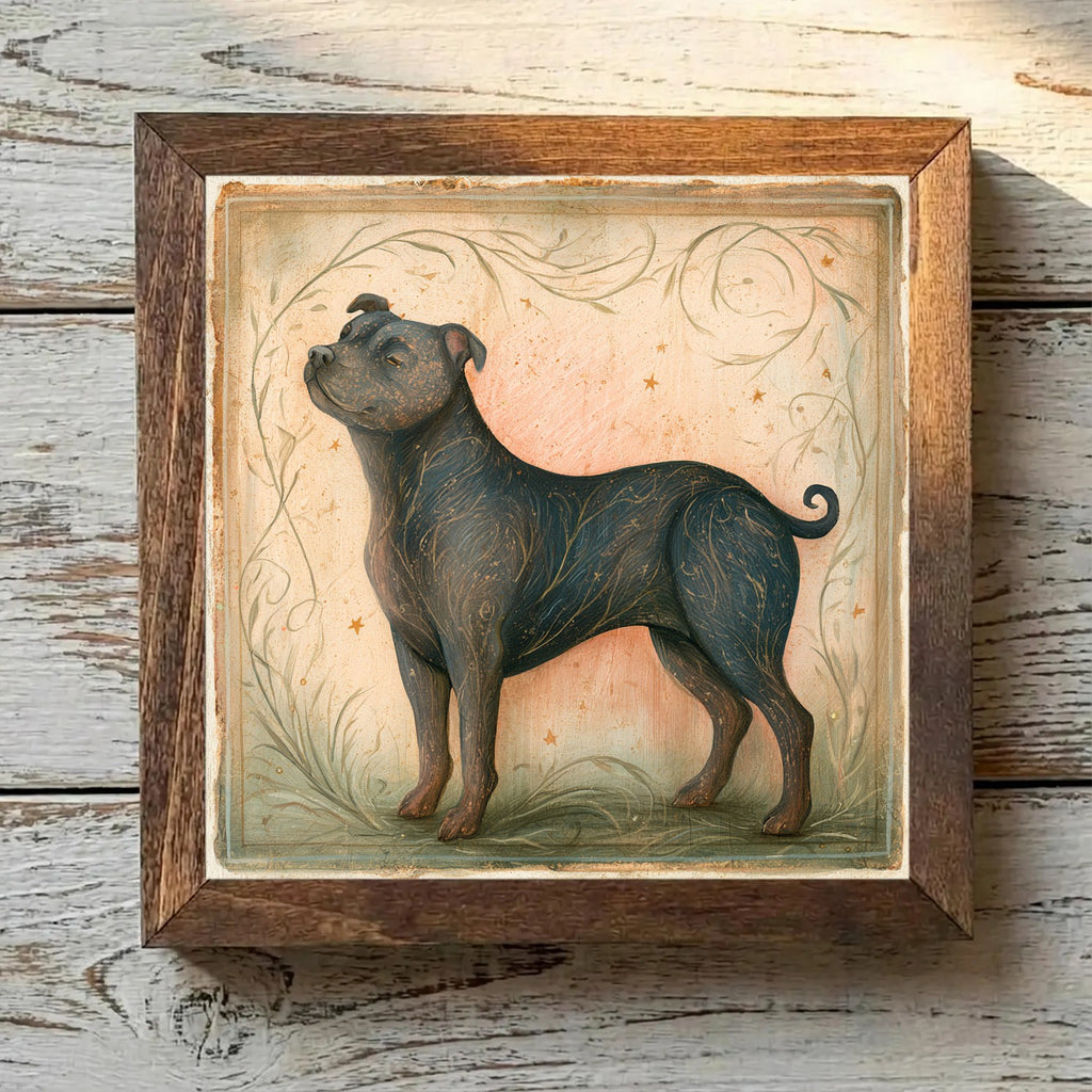 Staffordshire Bull Terrier Brindle - Variation 2