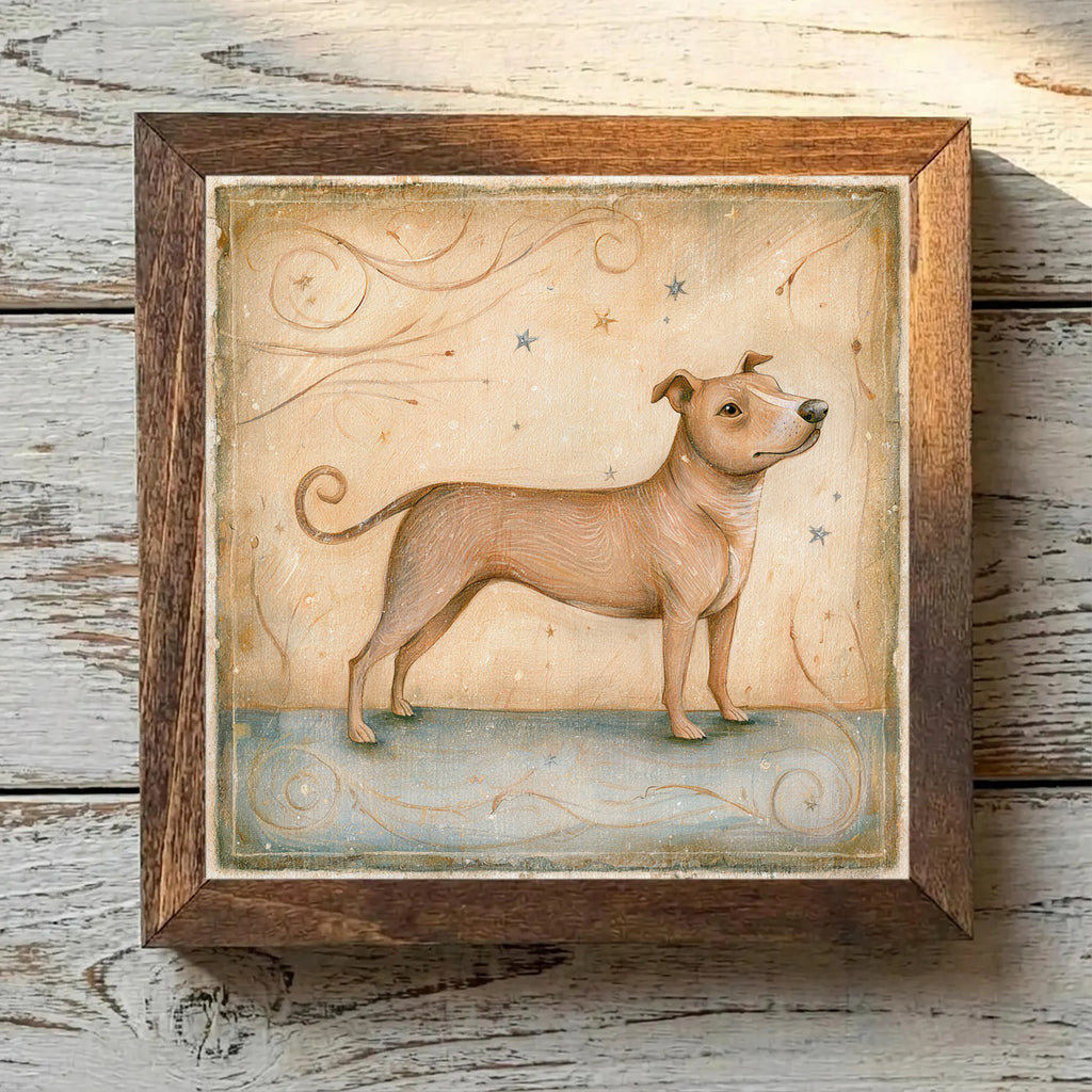 Staffordshire Bull Terrier Fawn - Variation 1