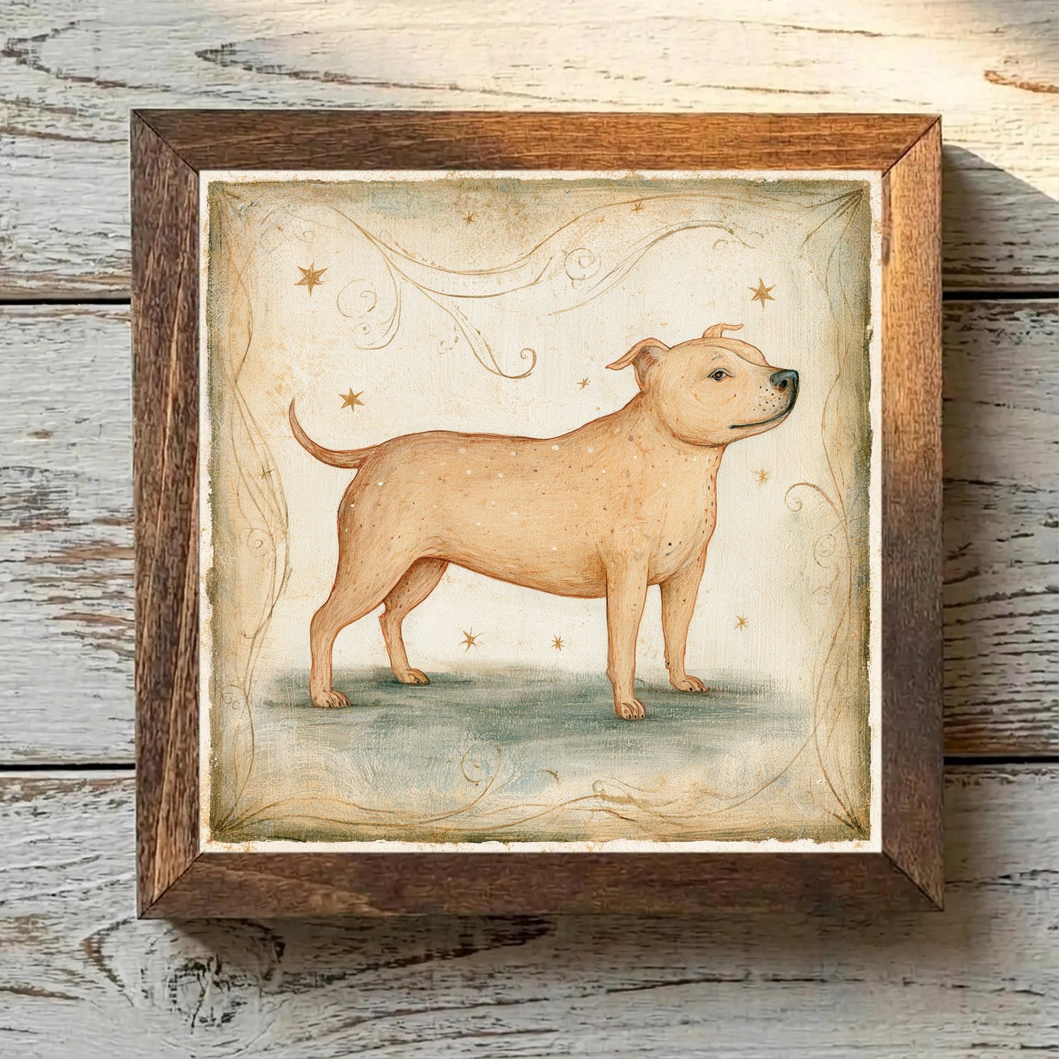 Staffordshire Bull Terrier Fawn - Variation 4