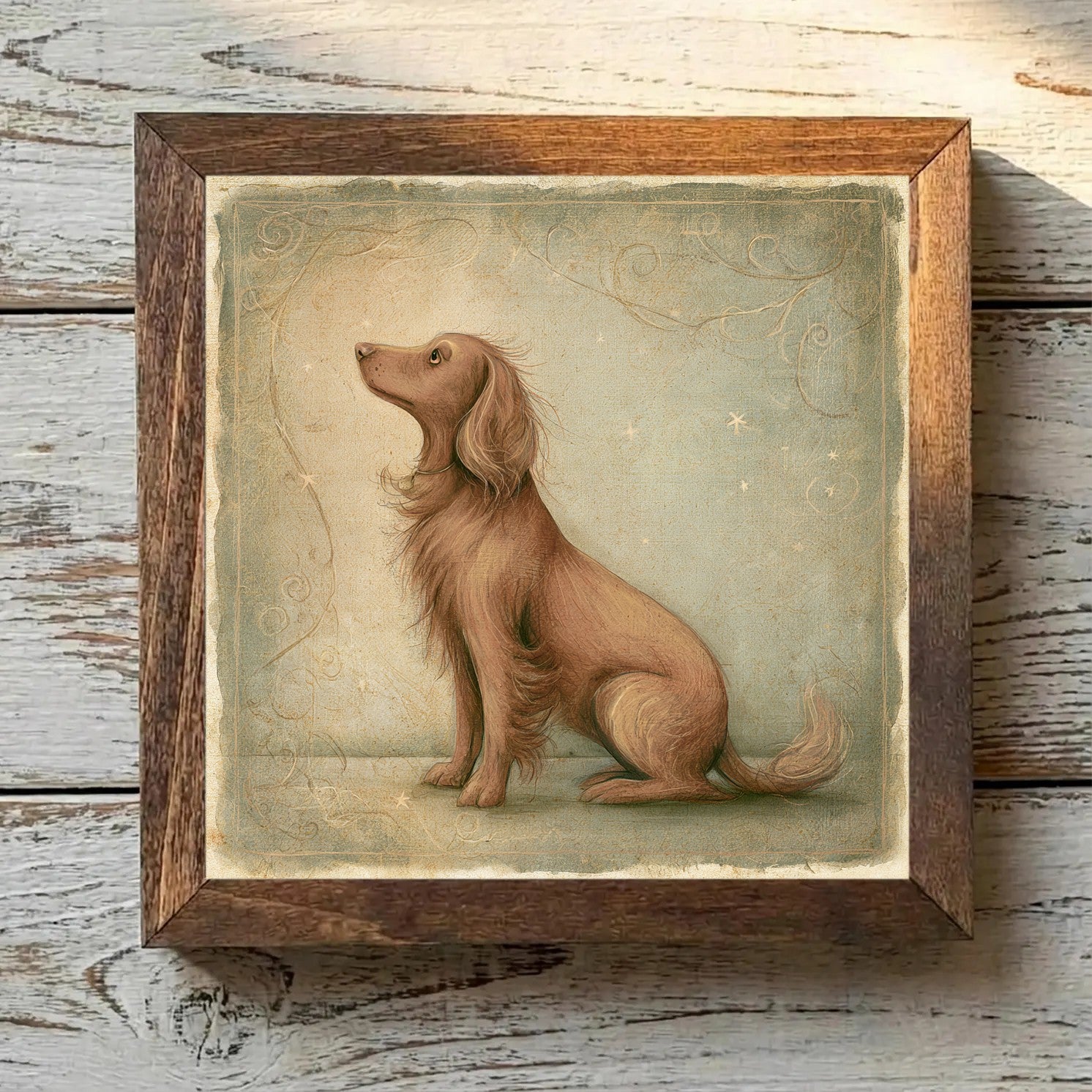 Sussex Spaniel Golden Liver - Variation 4