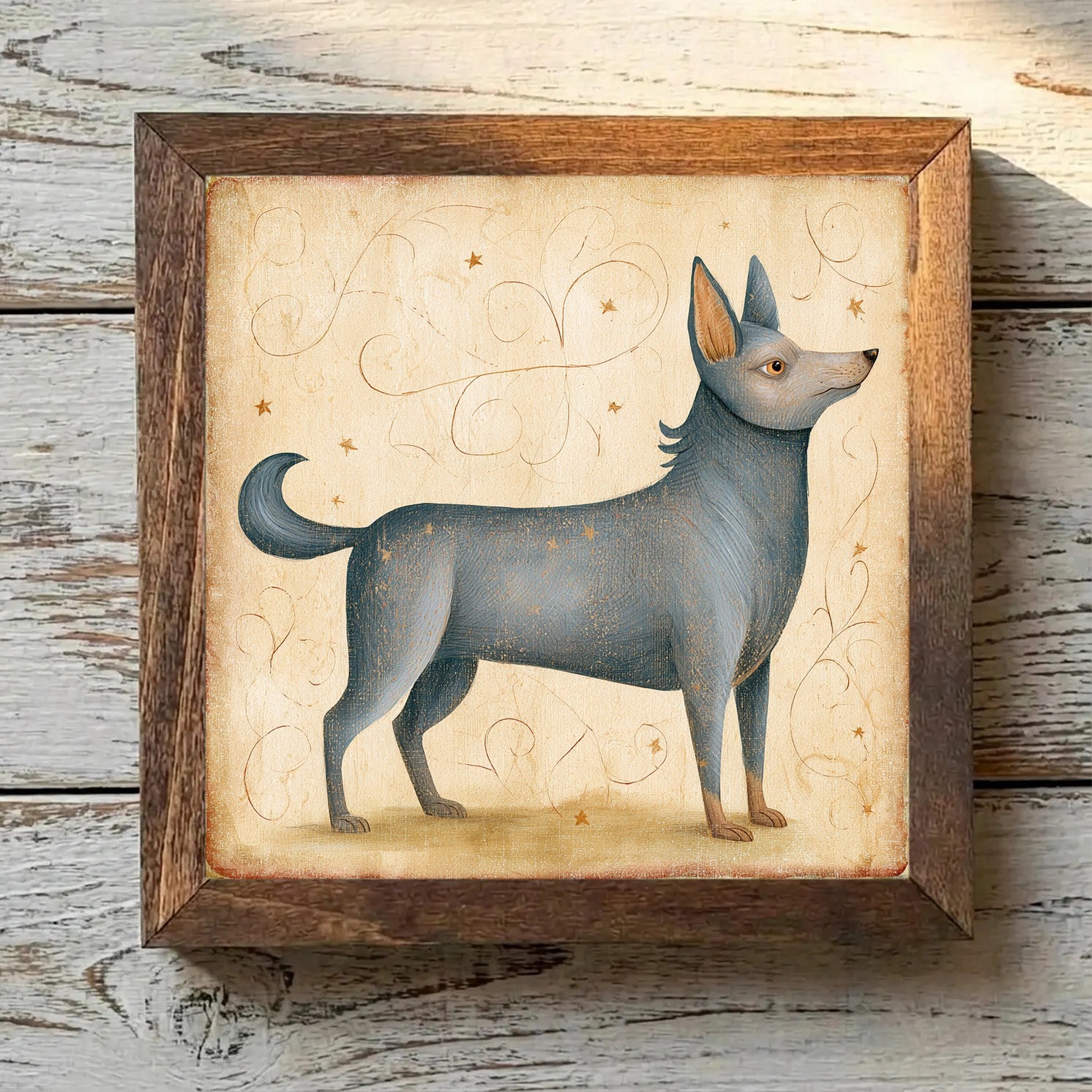 Swedish Vallhund Gray - Variation 1