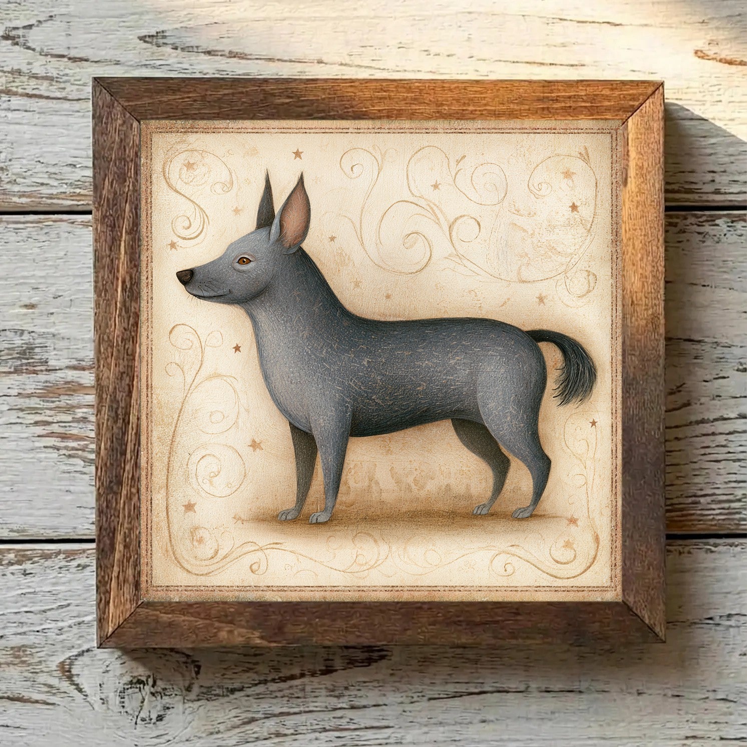 Swedish Vallhund Gray - Variation 3