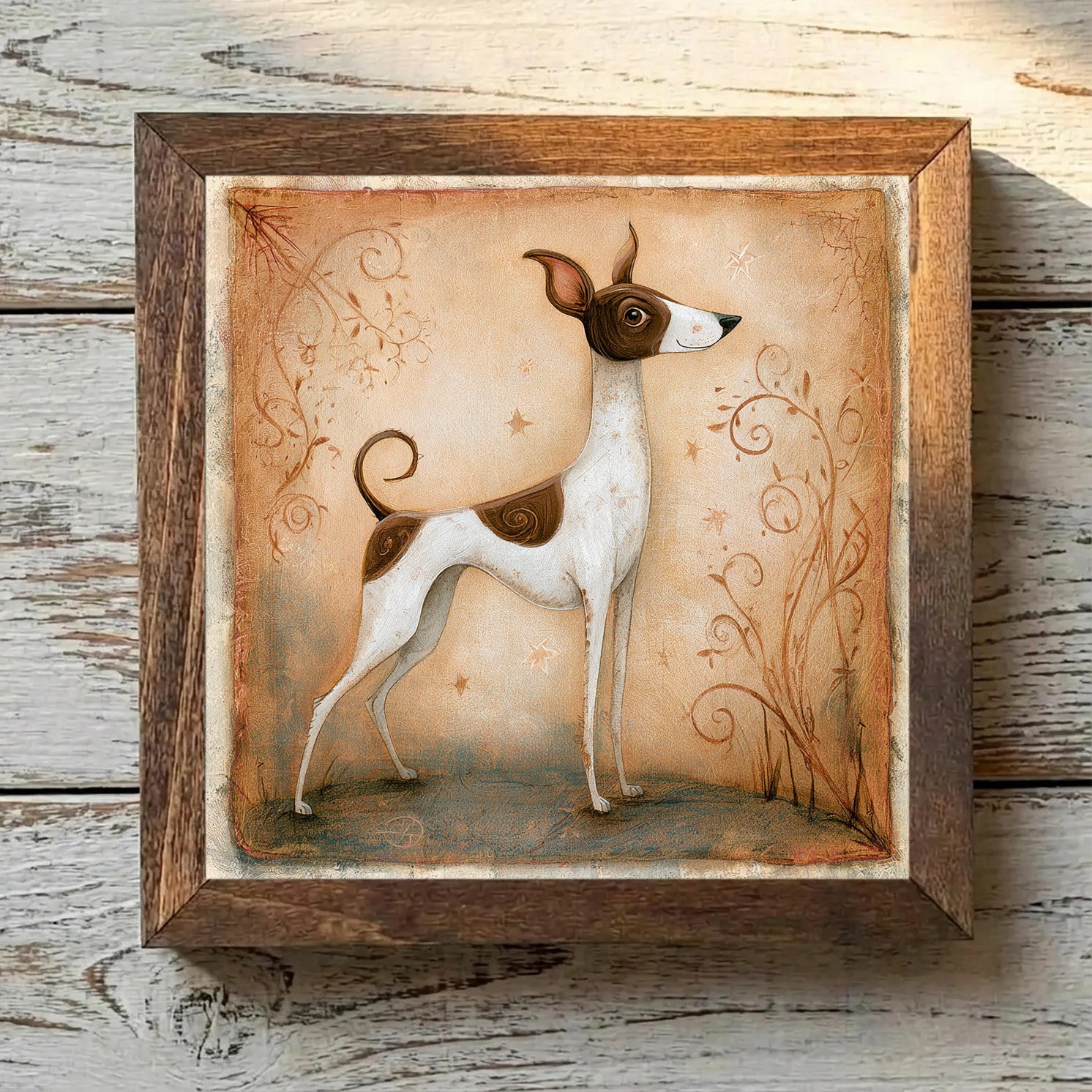 Teddy Roosevelt Terrier - Chocolate &
  White Chocolate & White - Variation 3