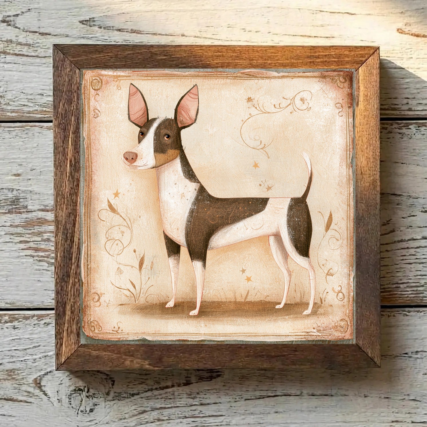 Teddy Roosevelt Terrier - Chocolate &
  White Chocolate & White - Variation 4