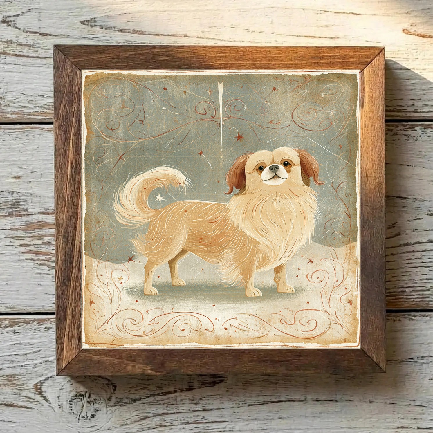 Tibetan Spaniel Gold - Variation 1