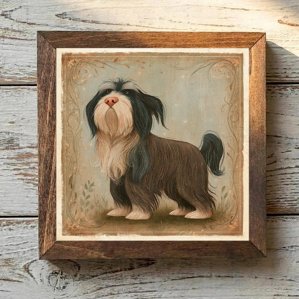 Tibetan Terrier Brindle - Variation 2