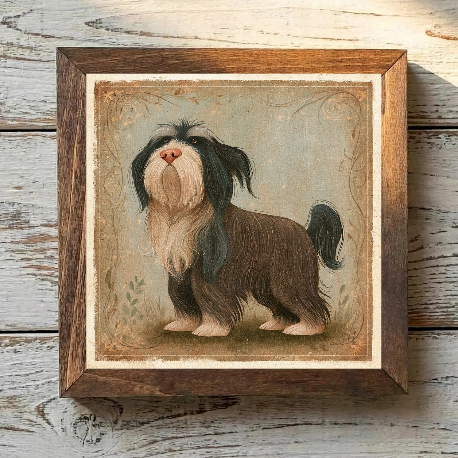 Tibetan Terrier Brindle - Variation 2