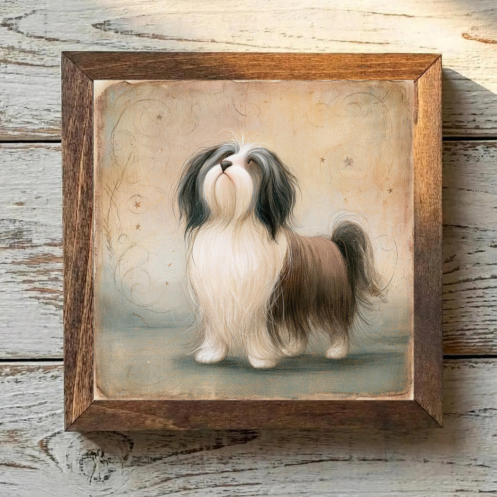 Tibetan Terrier Brindle - Variation 3