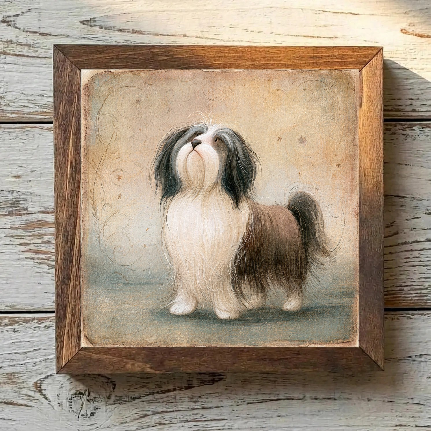Tibetan Terrier Brindle - Variation 3