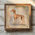 Vizsla Golden Rust - Variation 1