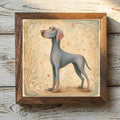 Weimaraner Silver-Gray - Variation 1