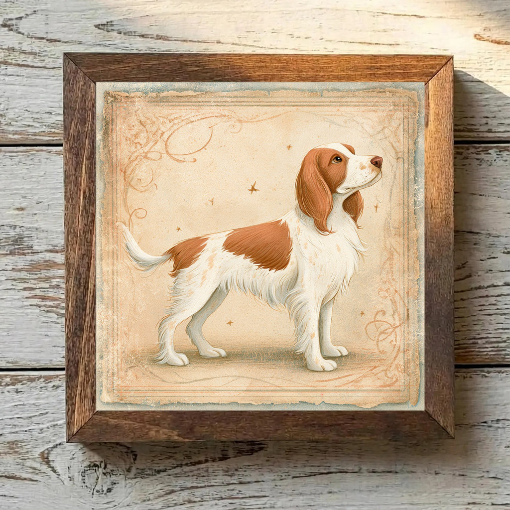 Welsh Springer Spaniel Red & White - Variation 2