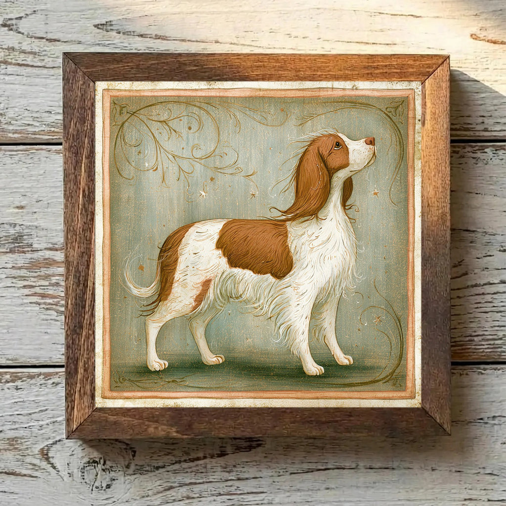Welsh Springer Spaniel Red & White - Variation 4