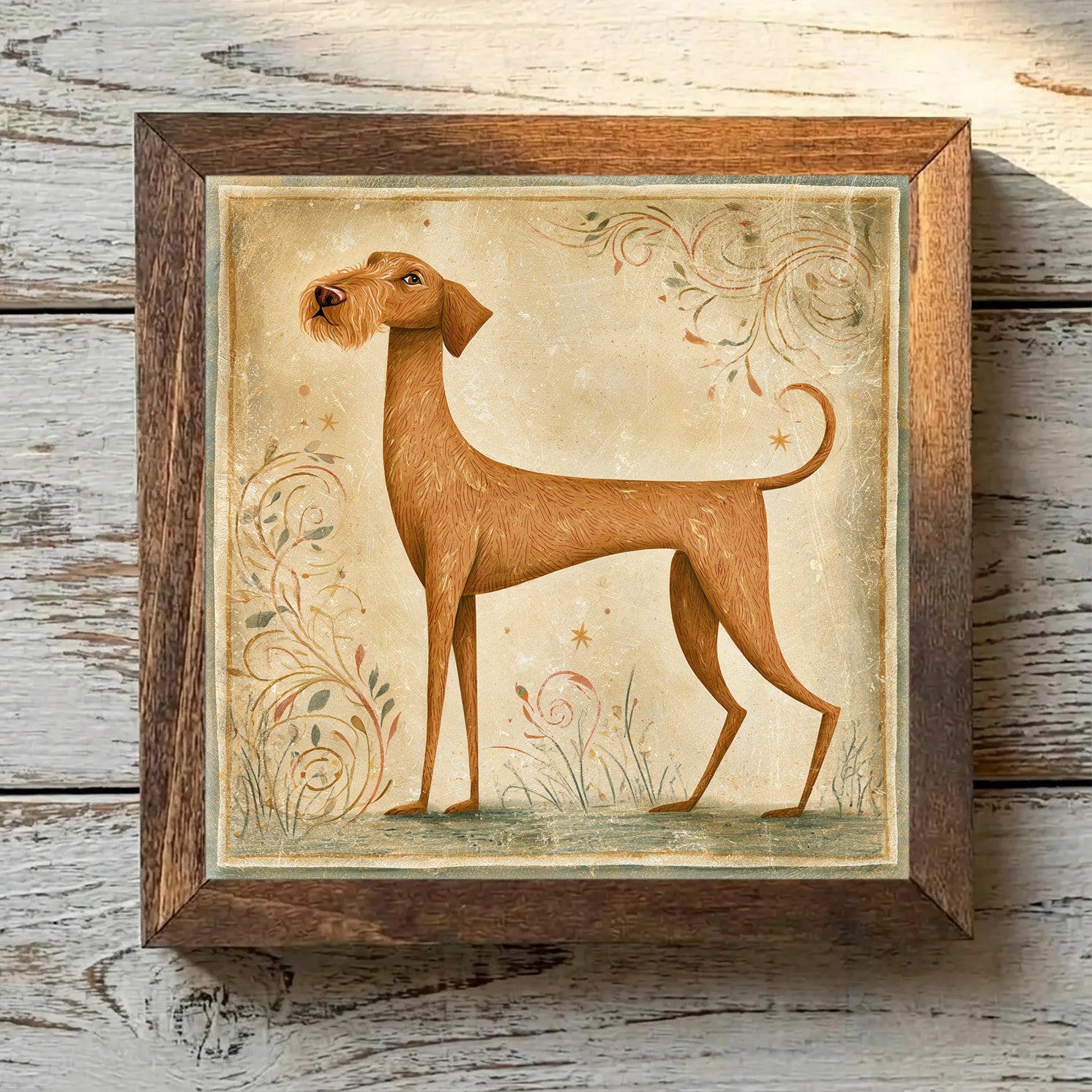 Wirehaired Vizsla Golden Rust - Variation 1
