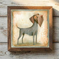 Wirehaired Pointing Griffon Steel Gray & Brown - Variation 1