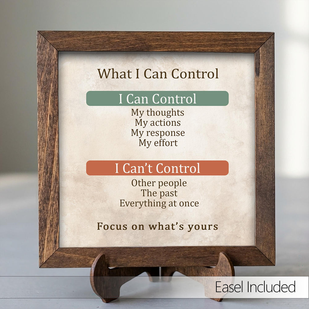 What I Can Control Framed Sign with Easel | Mental Health Decor | Anxiety Relief Gift | Mindfulness Wall Art | Therapy Decor | Self Care - TheGrumpyRooster