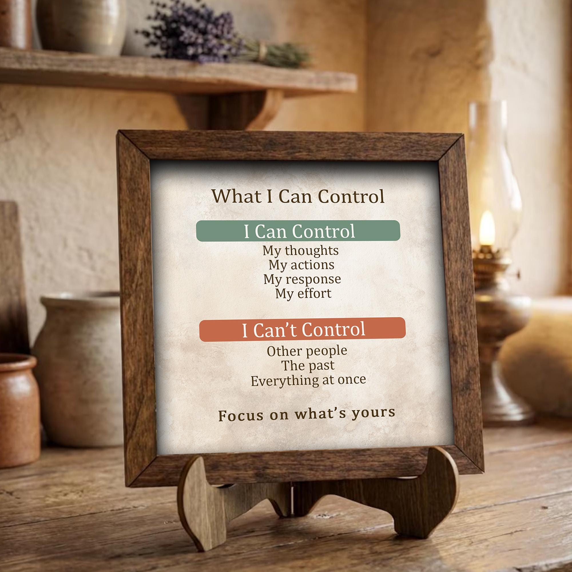 What I Can Control Framed Sign with Easel | Mental Health Decor | Anxiety Relief Gift | Mindfulness Wall Art | Therapy Decor | Self Care - TheGrumpyRooster