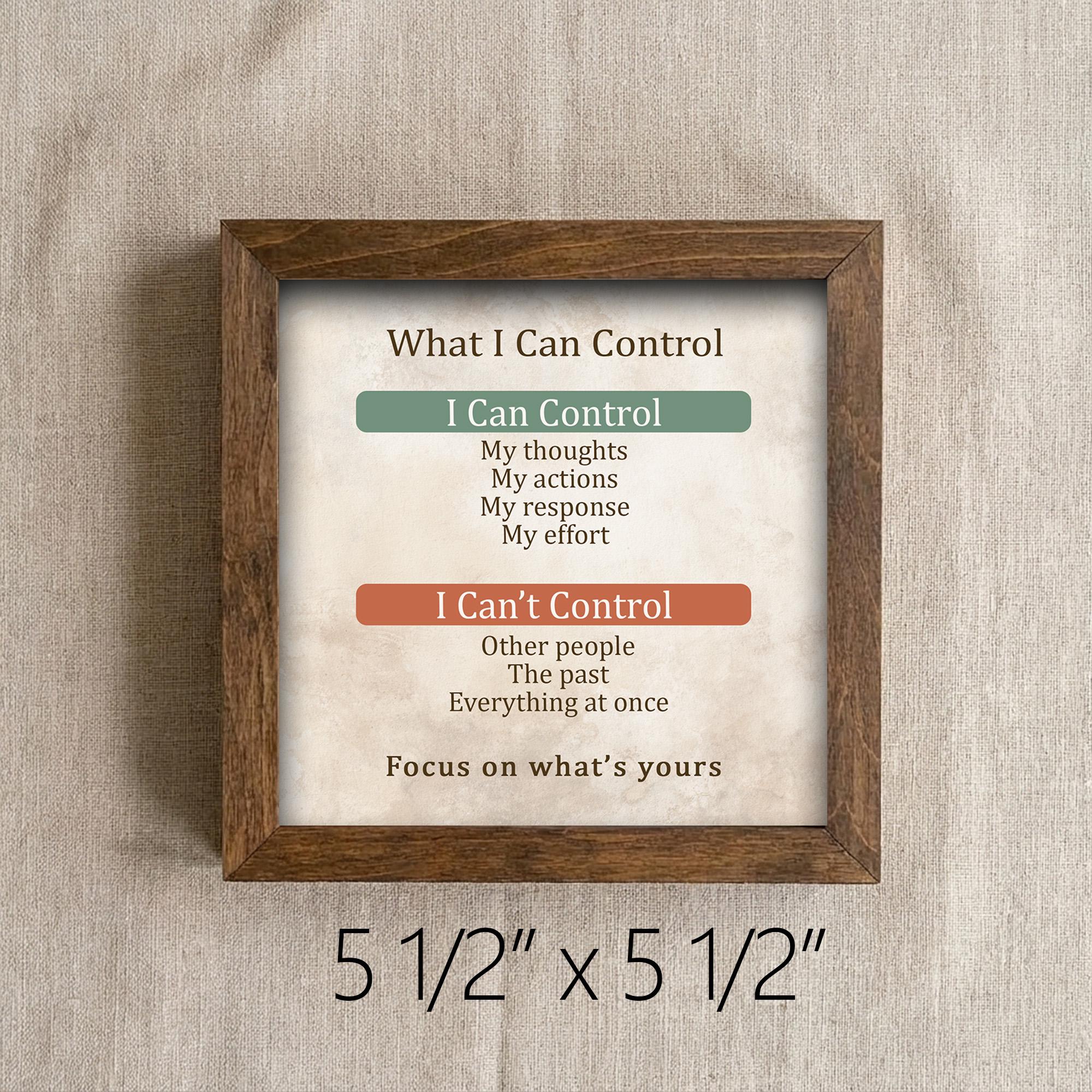 What I Can Control Framed Sign with Easel | Mental Health Decor | Anxiety Relief Gift | Mindfulness Wall Art | Therapy Decor | Self Care - TheGrumpyRooster