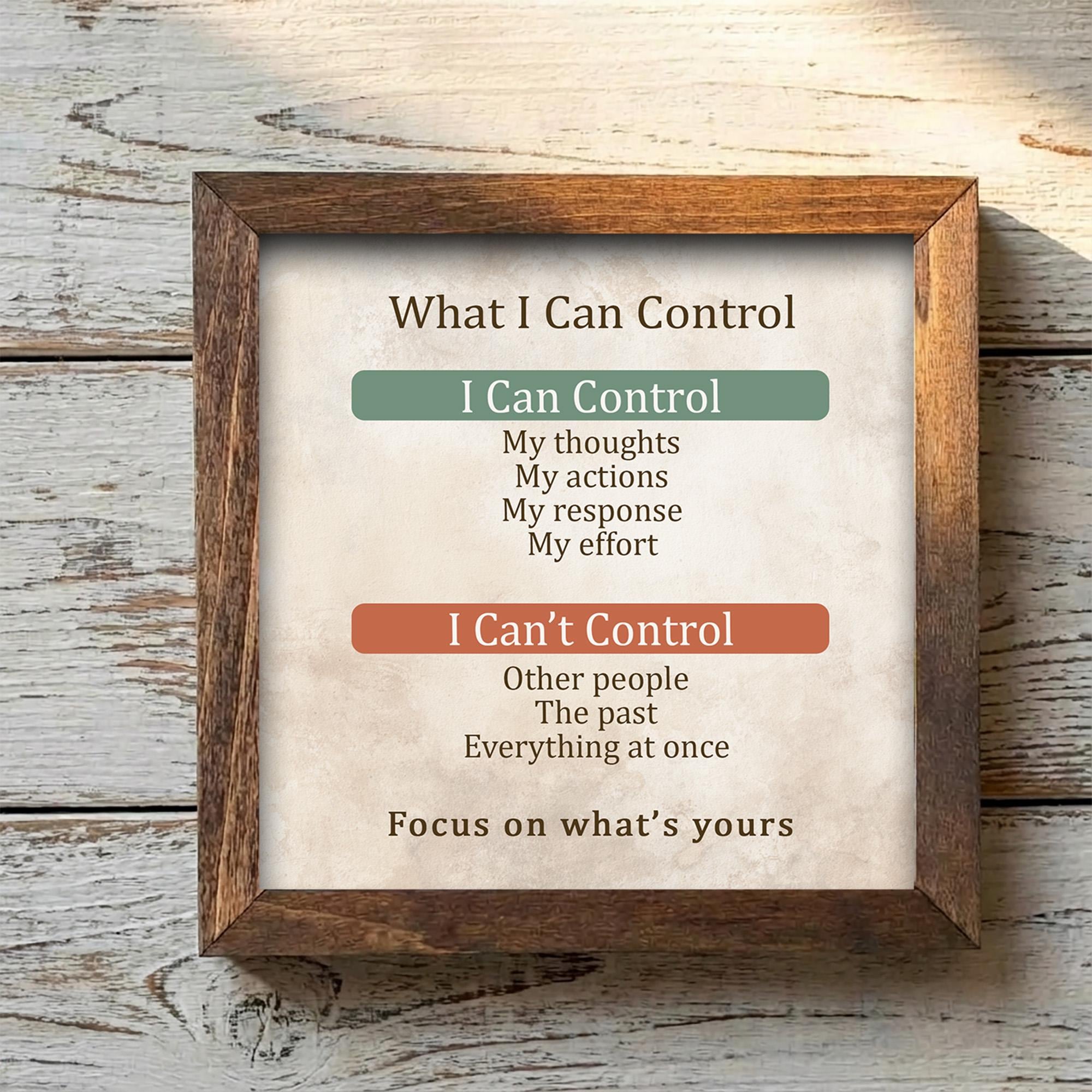 What I Can Control Framed Sign with Easel | Mental Health Decor | Anxiety Relief Gift | Mindfulness Wall Art | Therapy Decor | Self Care - TheGrumpyRooster