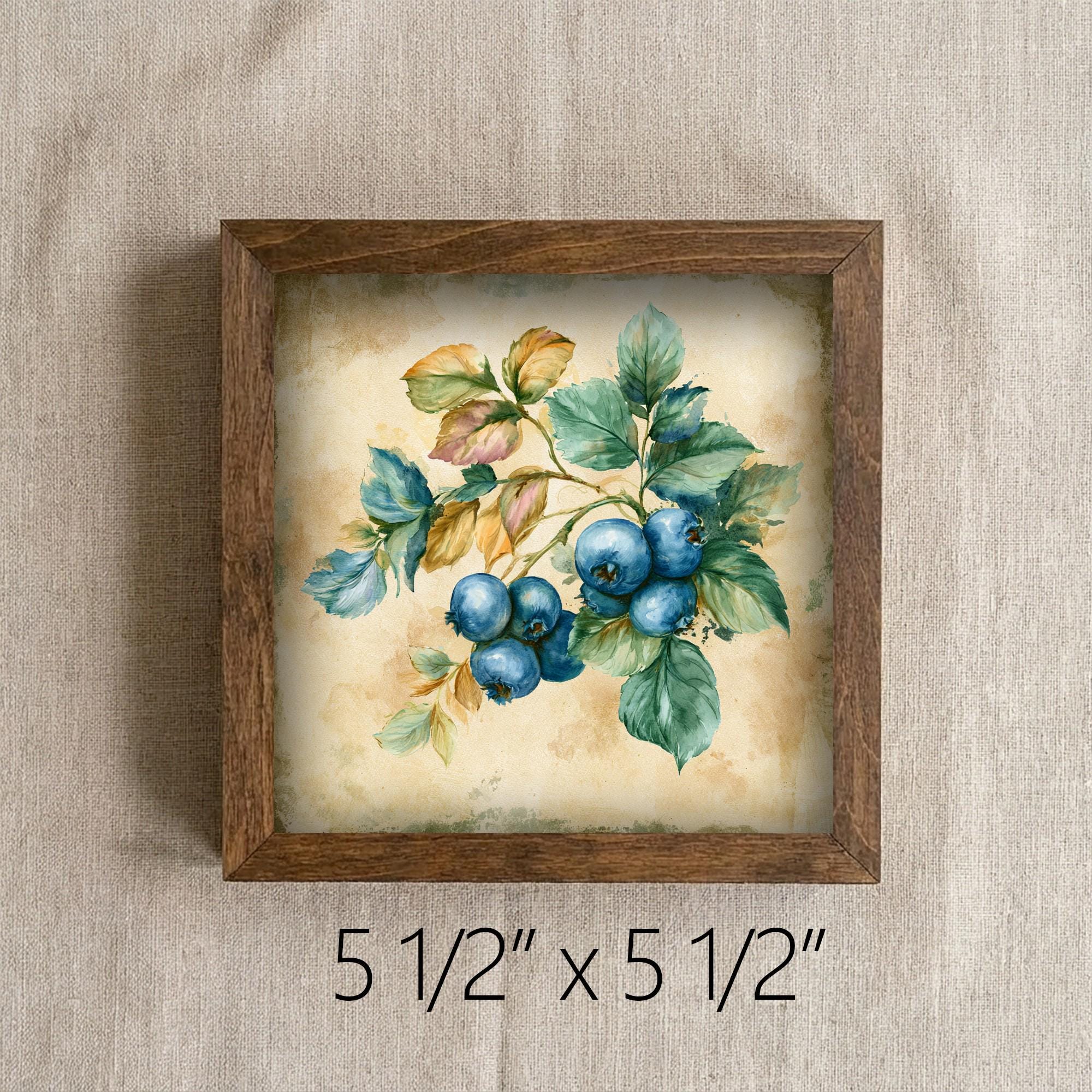 Framed Blueberry Art Print | Rustic Farmhouse Shelf Decor