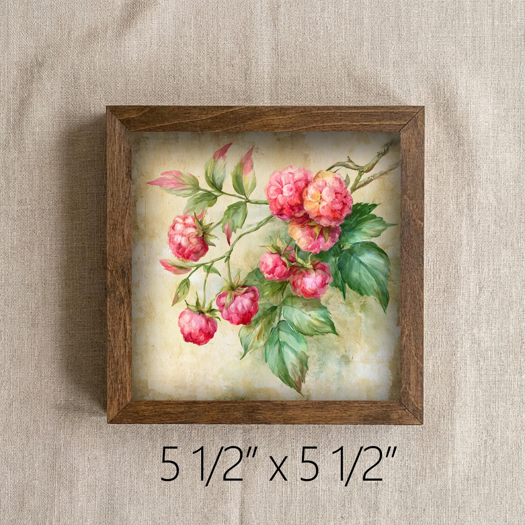 Framed Raspberry Art Print | Rustic Farmhouse Shelf Decor