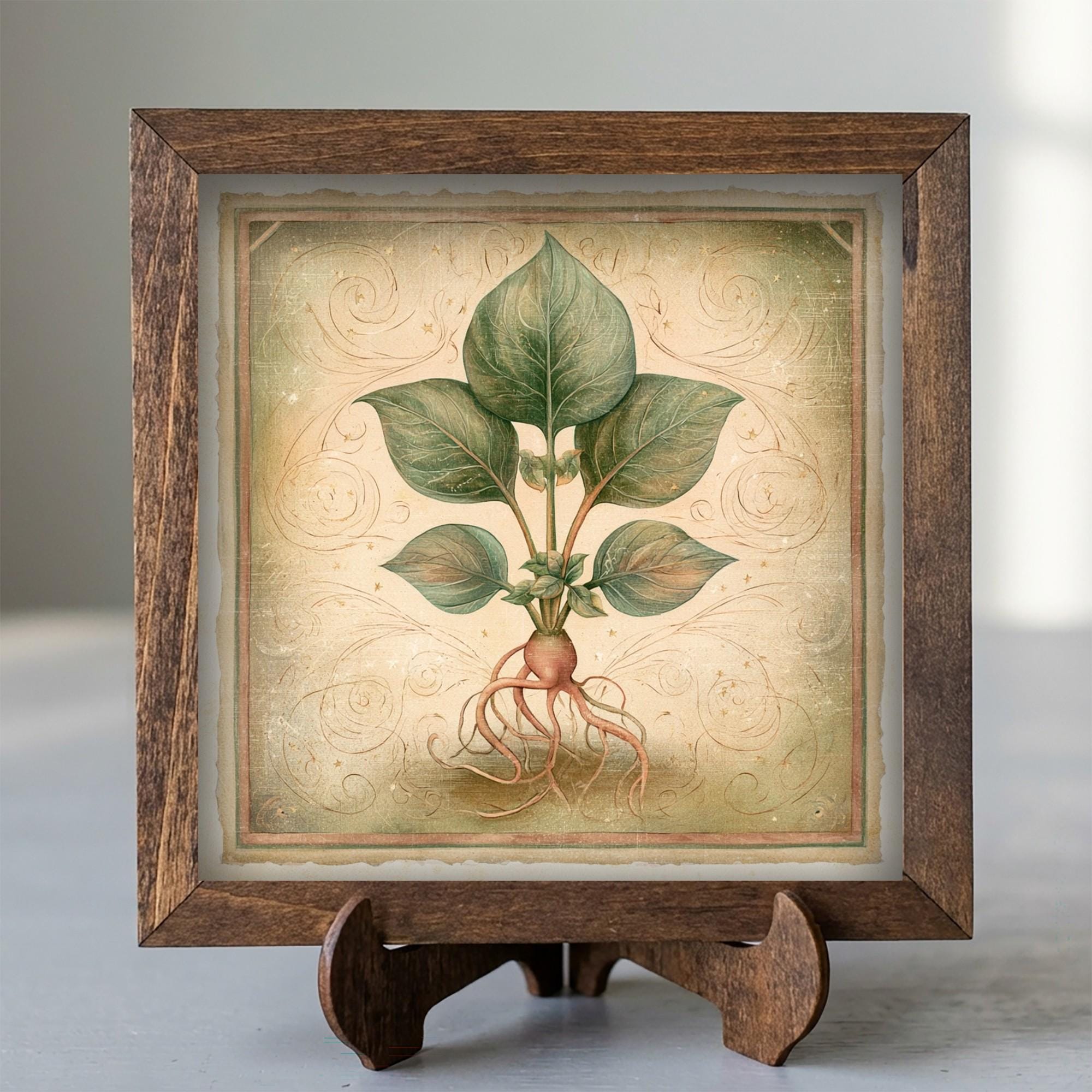 Framed Botanical Root Art Print | Rustic Farmhouse Shelf Decor
