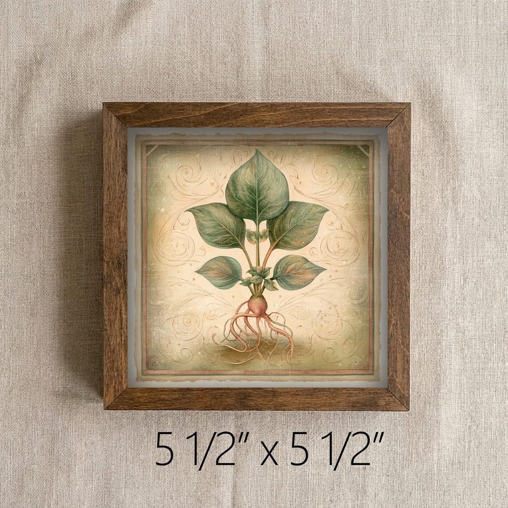 Framed Botanical Root Art Print | Rustic Farmhouse Shelf Decor