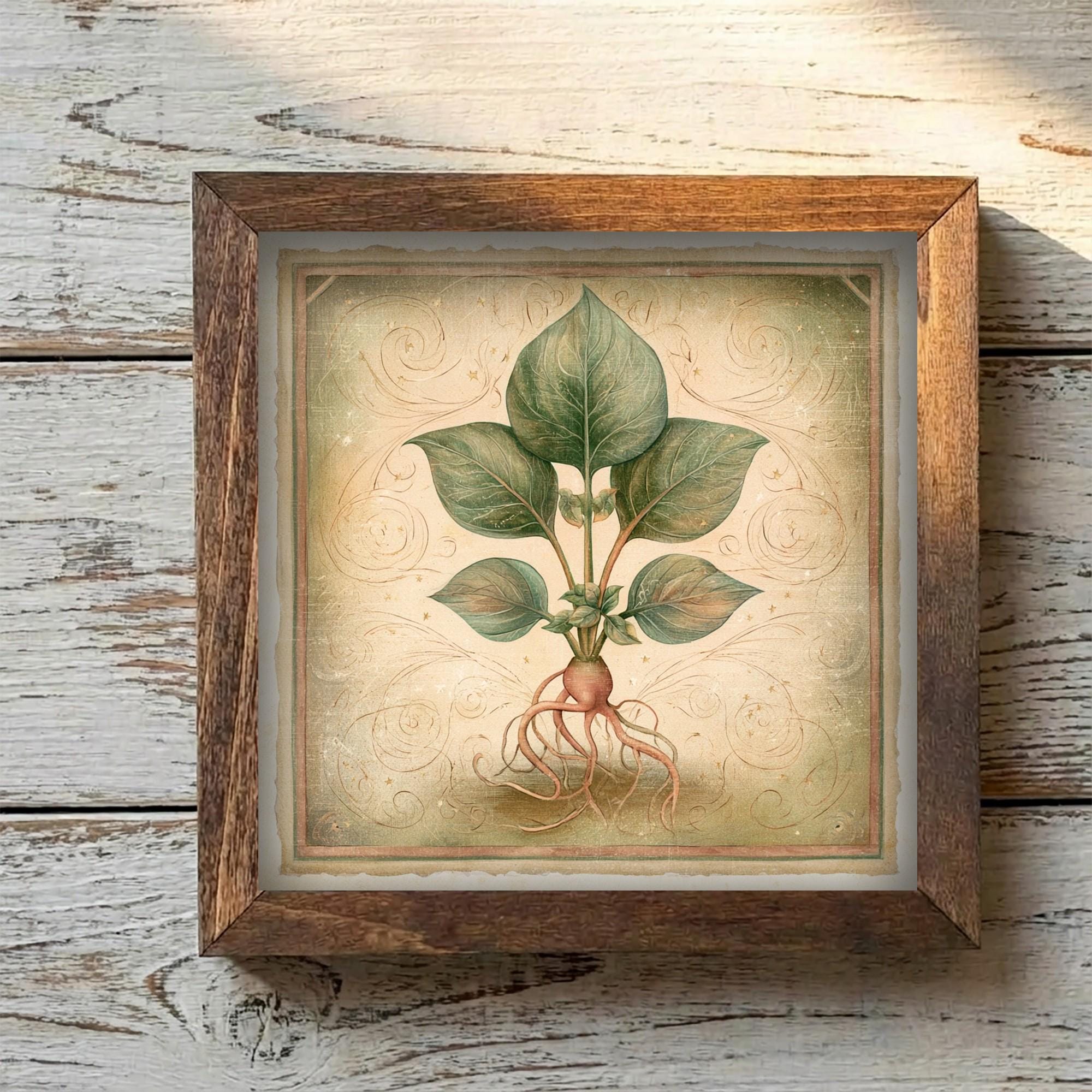 Framed Botanical Root Art Print | Rustic Farmhouse Shelf Decor