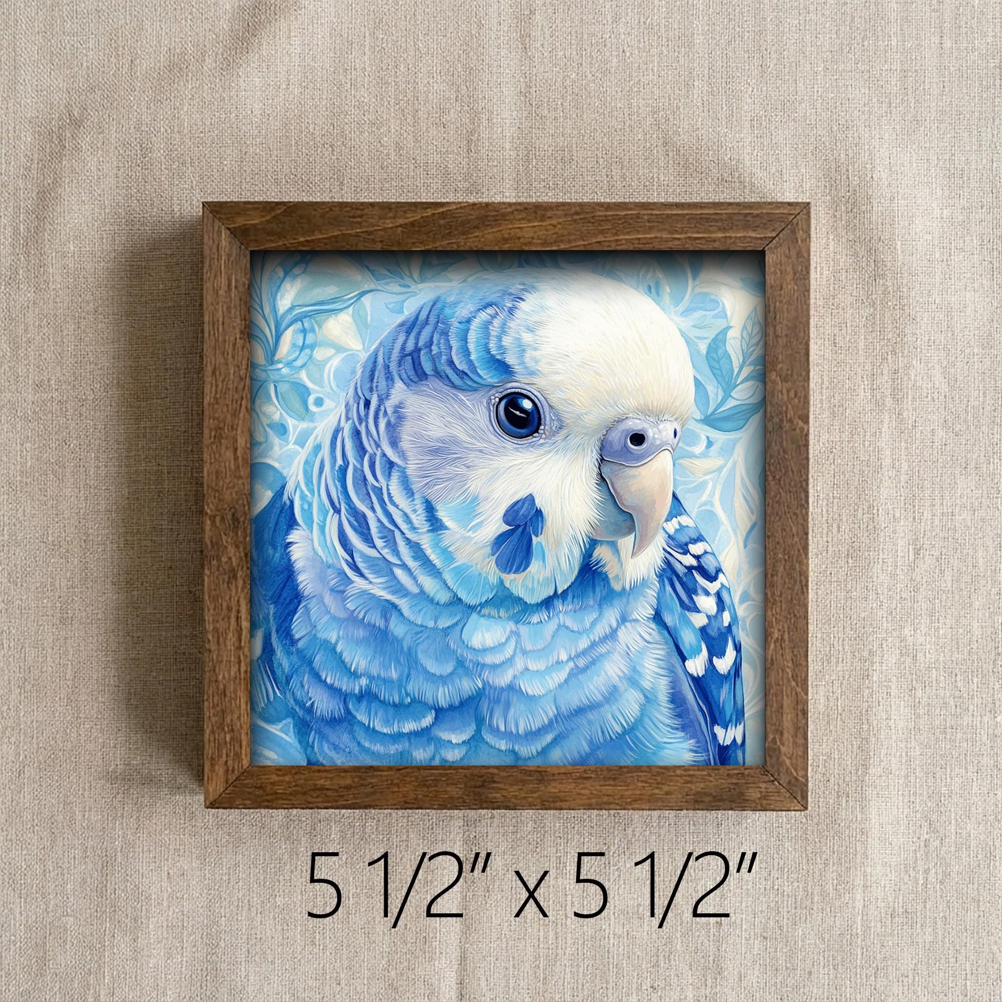 Framed Blue Parakeet Art Print | Rustic Farmhouse Bird Decor