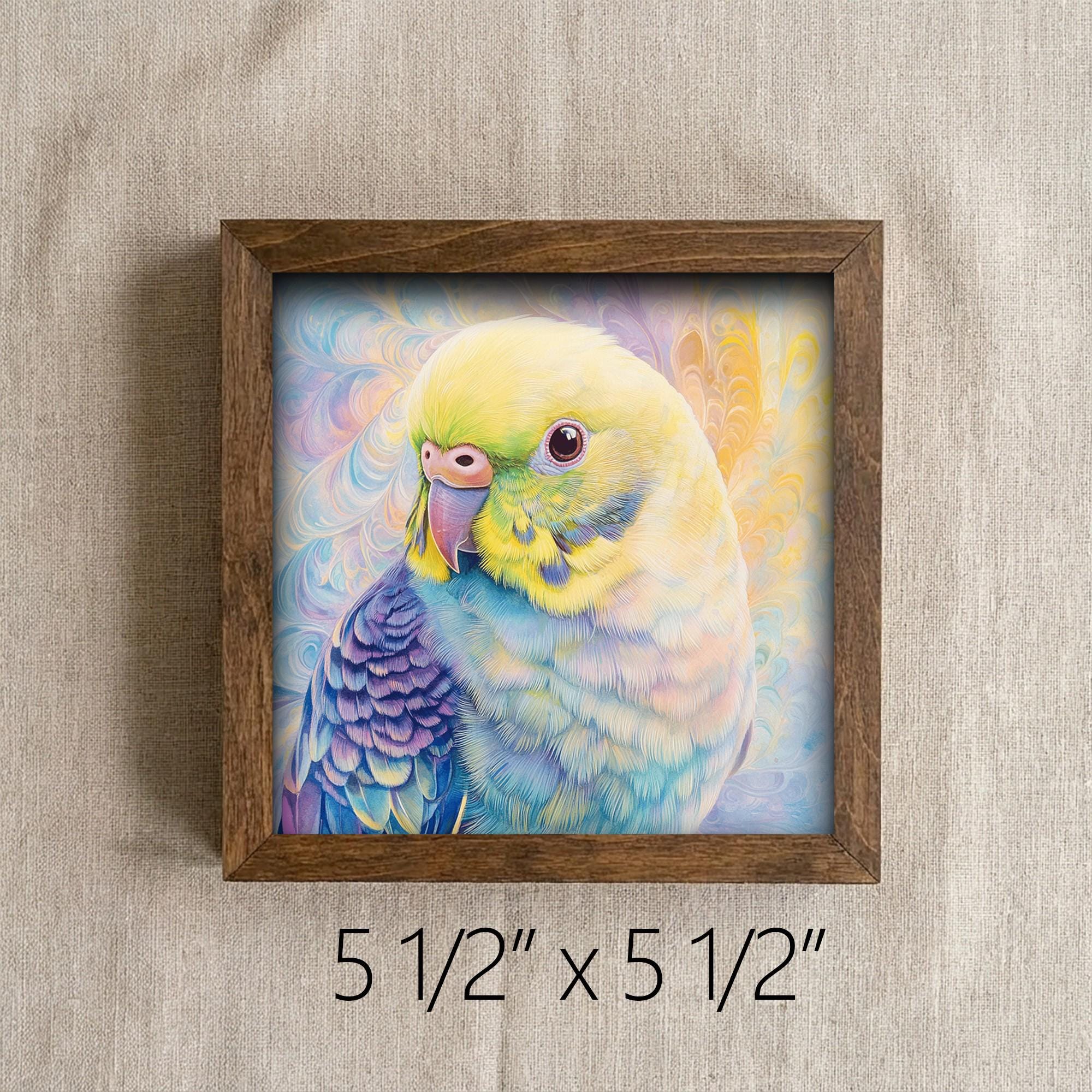 Framed Watercolor Parakeet Art Print | Colorful Bird Shelf Decor