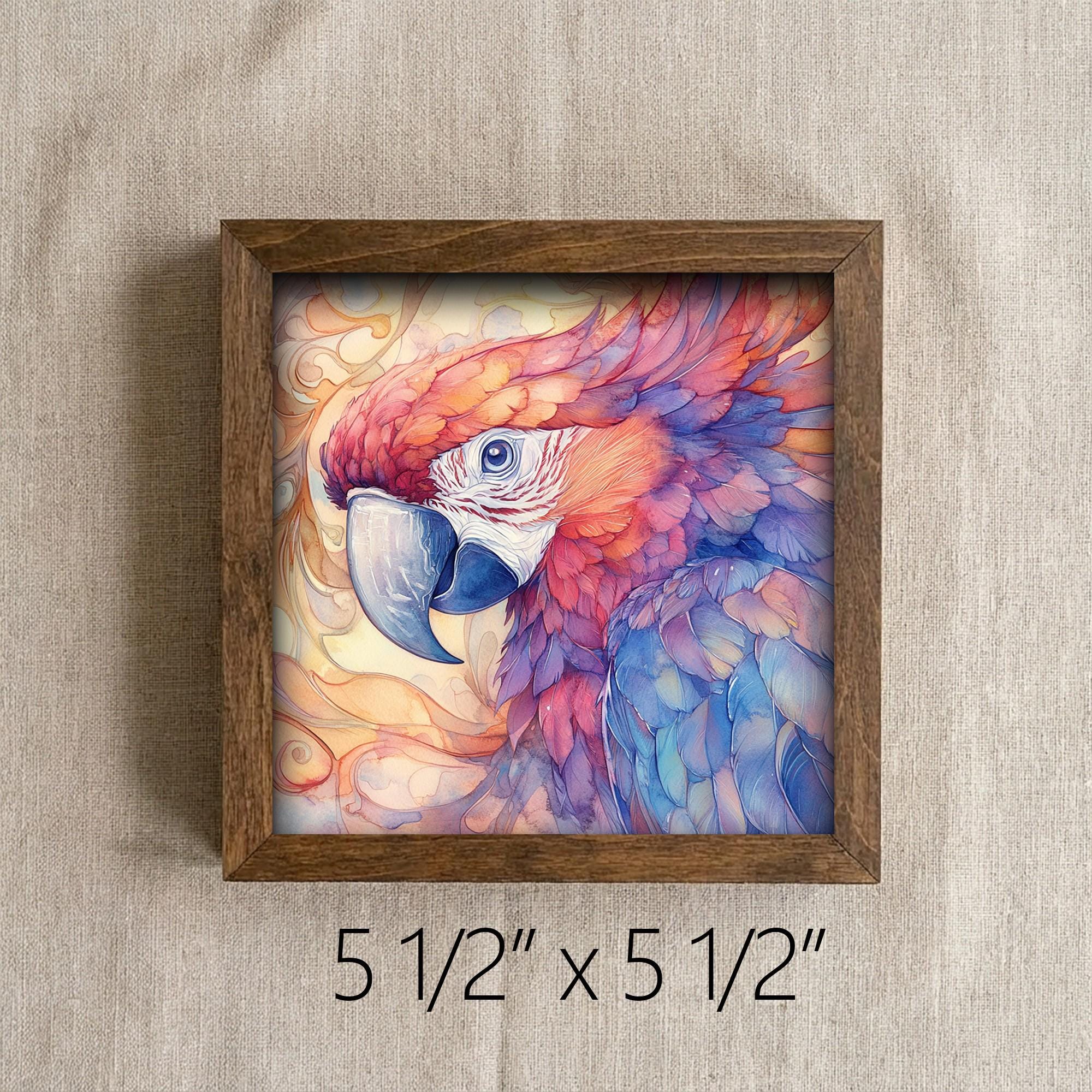 Framed Watercolor Parrot Art Print | Colorful Bird Shelf Decor