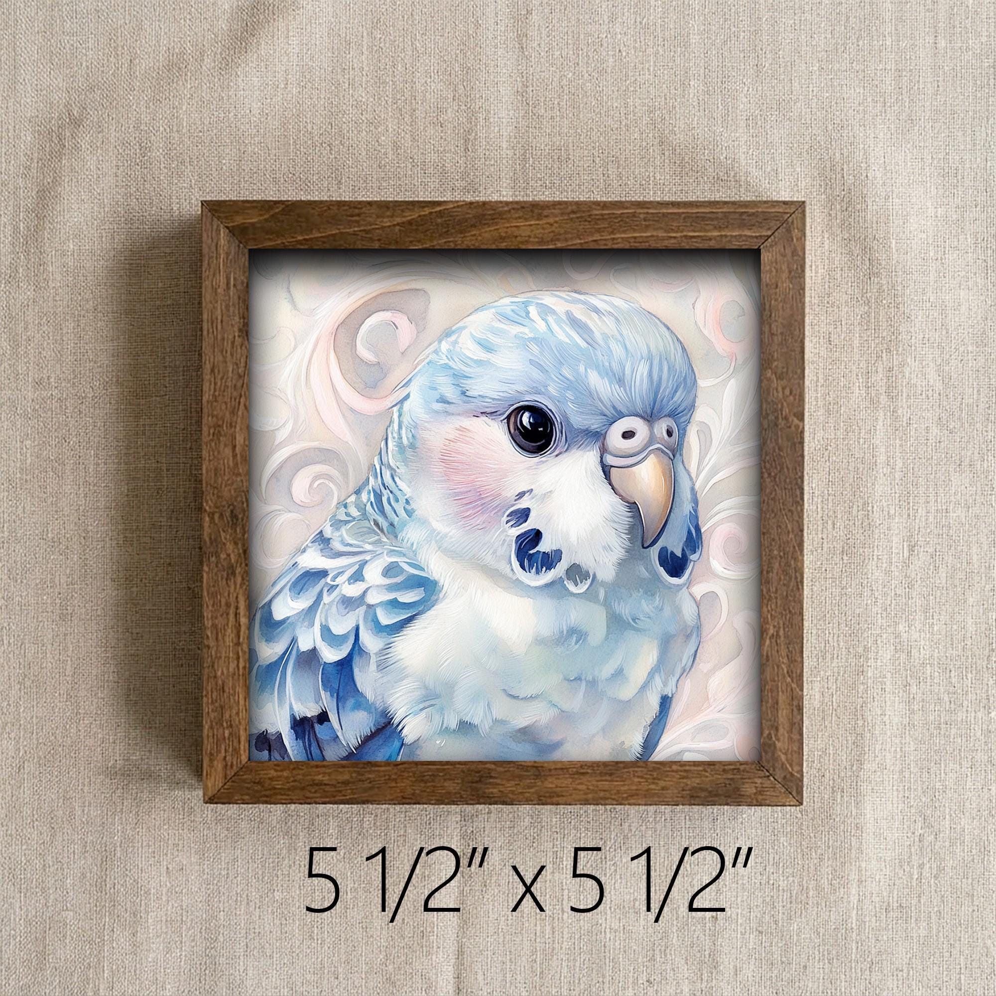Framed Blue Parakeet Art Print | Rustic Farmhouse Bird Decor