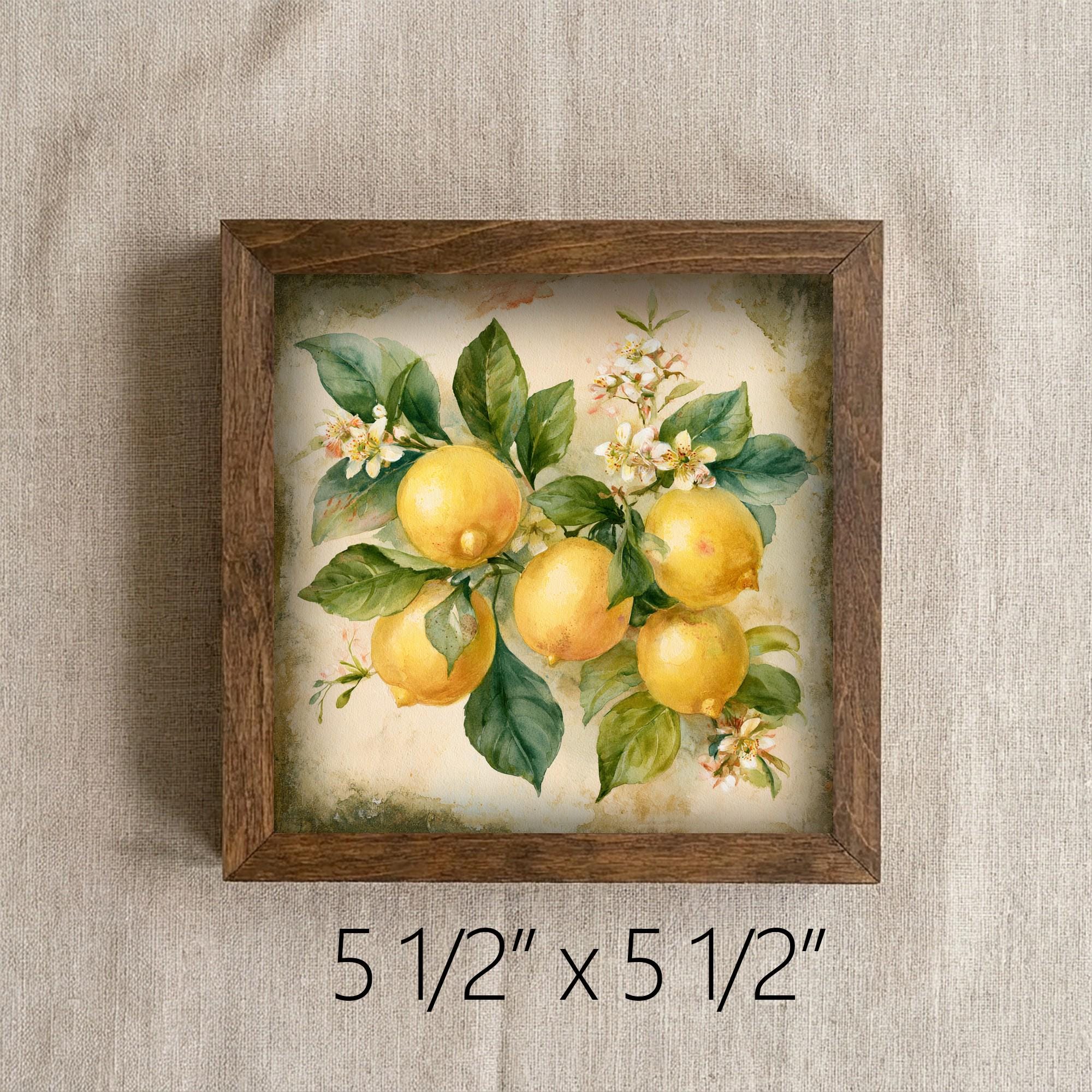 Framed Lemon Botanical Art Print | Rustic Farmhouse Shelf Decor