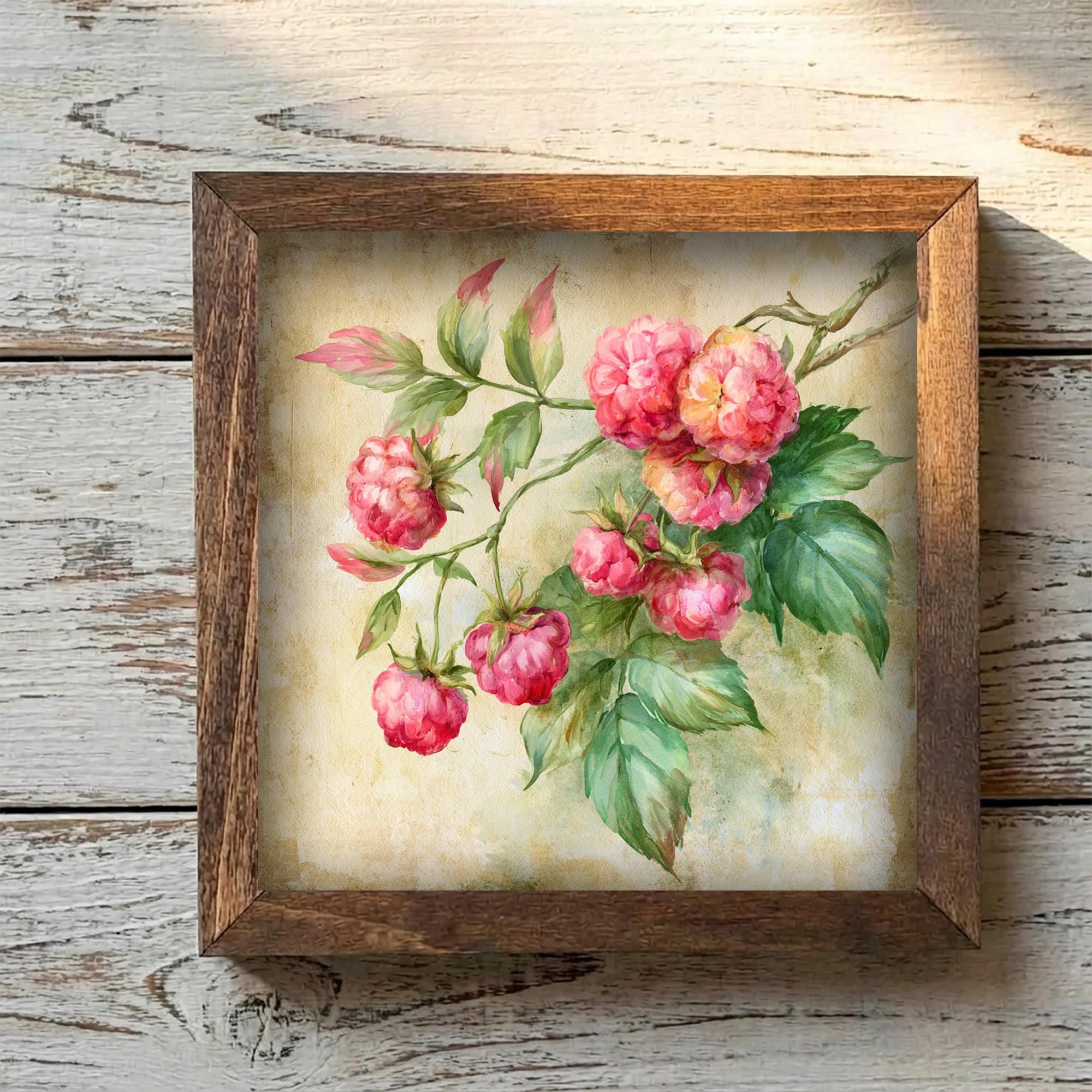 Framed Raspberry Art Print | Rustic Farmhouse Shelf Decor