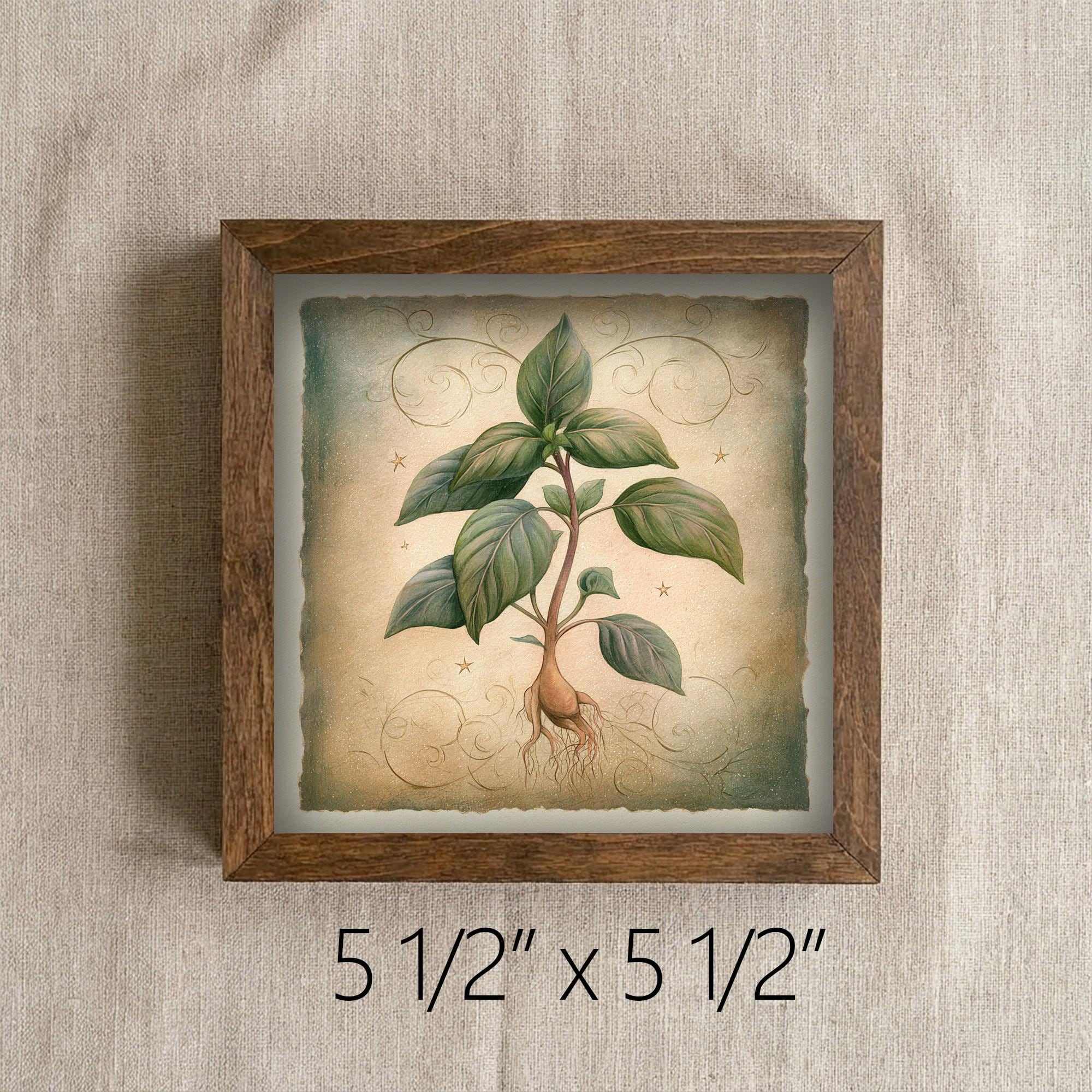 Framed Botanical Plant Art Print | Rustic Farmhouse Shelf Decor
