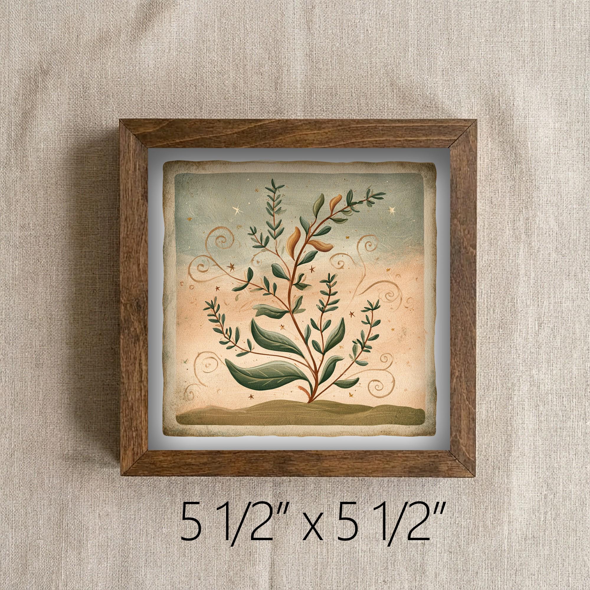 Framed Herbal Botanical Art Print | Rustic Farmhouse Shelf Decor