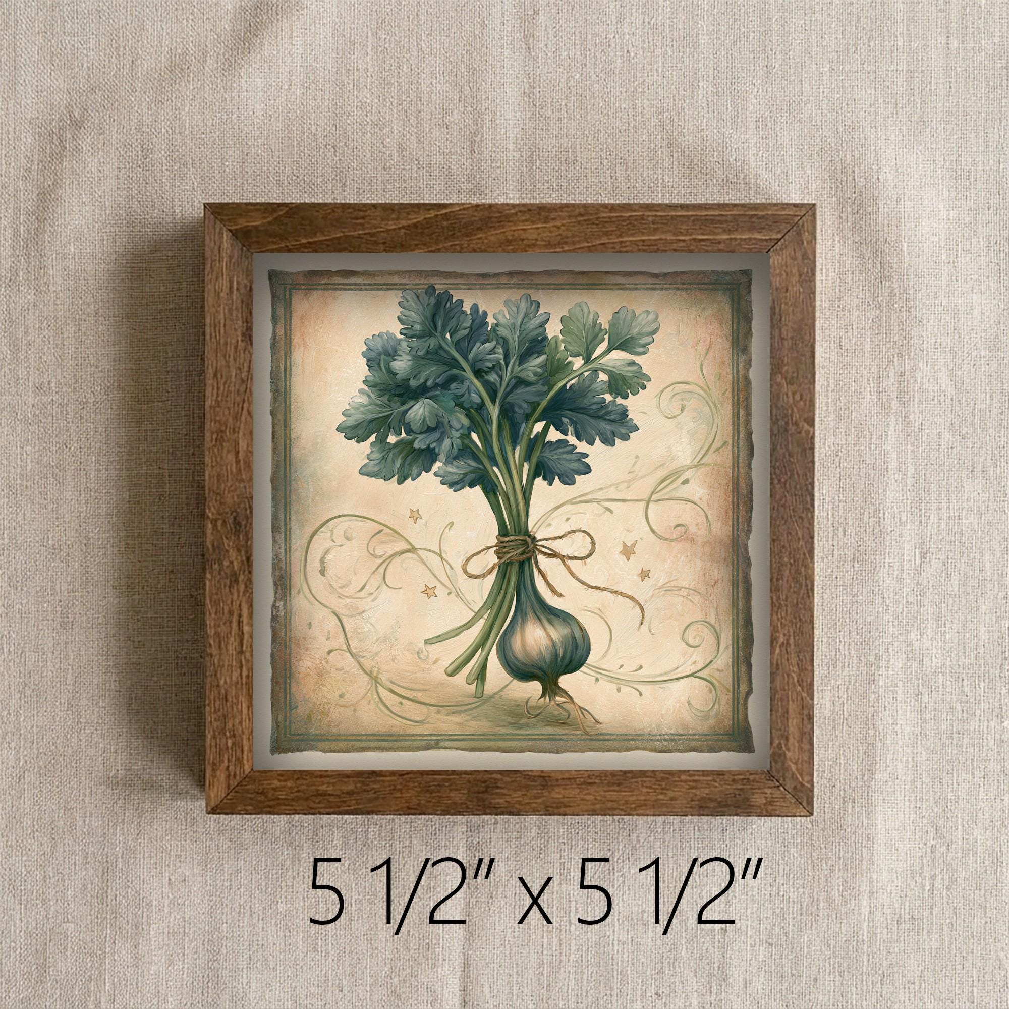 Framed Herb Bundle Art Print | Rustic Farmhouse Shelf Decor
