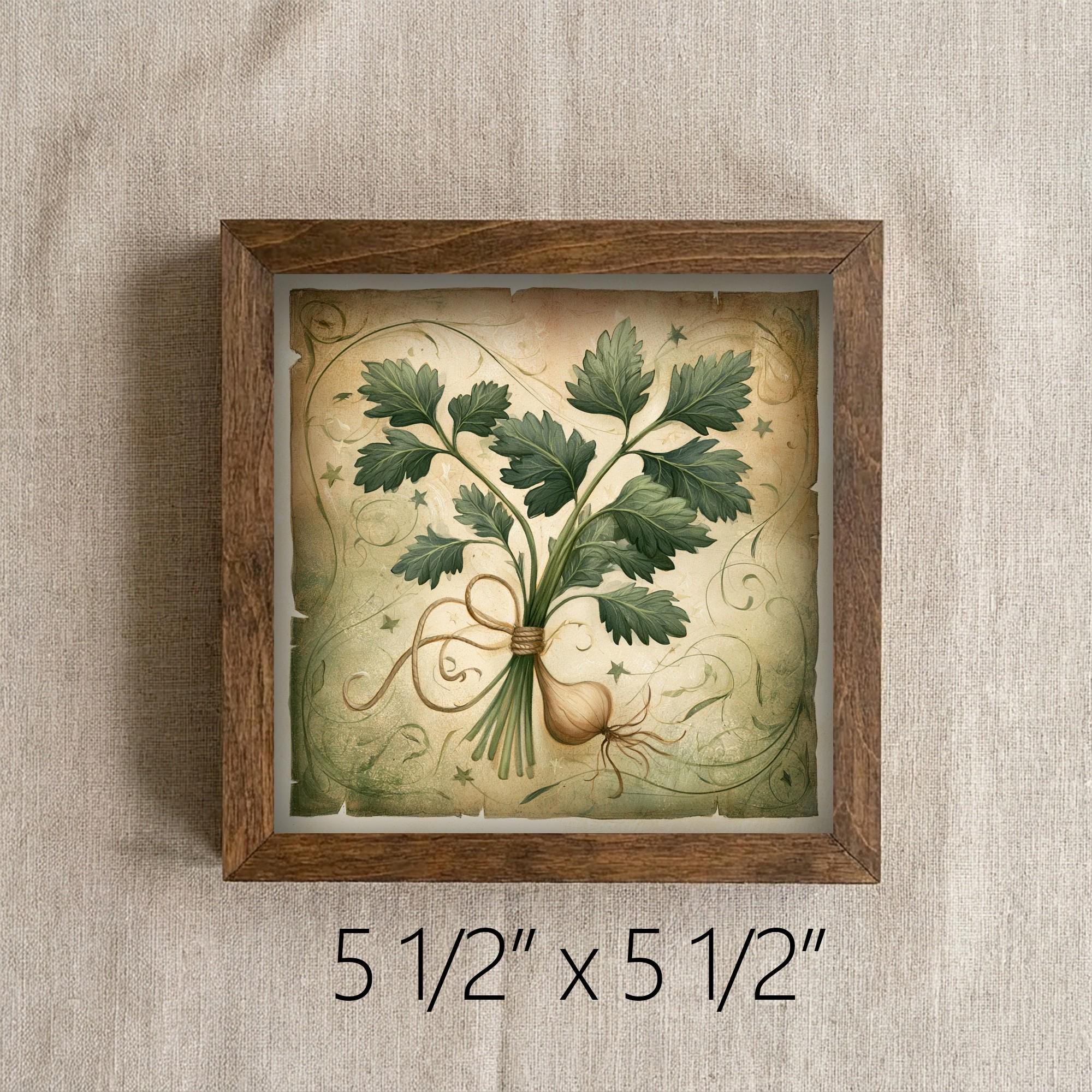 Framed Herb Bundle Art Print | Rustic Farmhouse Shelf Decor