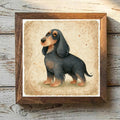 English Cocker Spaniel Black & Tan - Variation 1